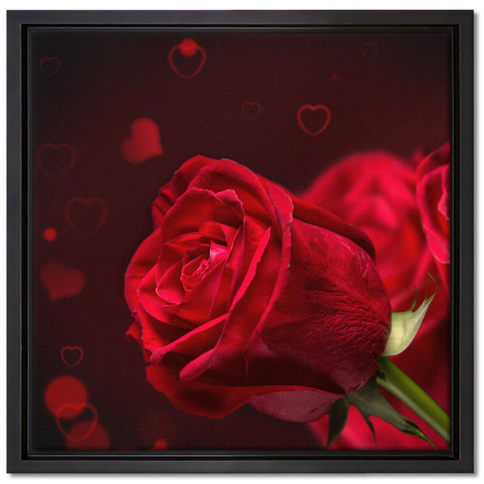 Rosen auf Leinwandbild Quadratisch gerahmt Größe 40x40