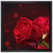 Rosen auf Leinwandbild Quadratisch gerahmt Größe 40x40