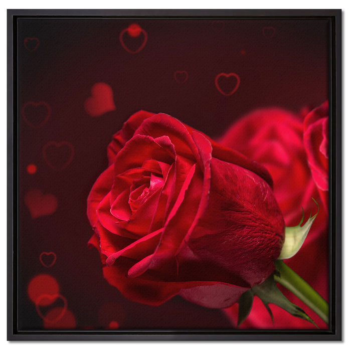 Rosen auf Leinwandbild Quadratisch gerahmt Größe 60x60