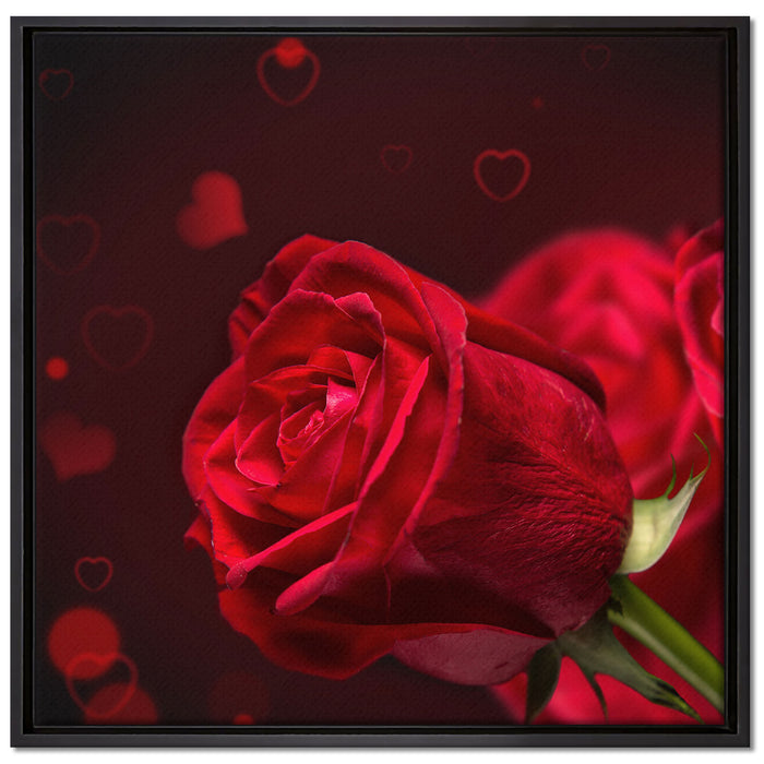Rosen auf Leinwandbild Quadratisch gerahmt Größe 70x70
