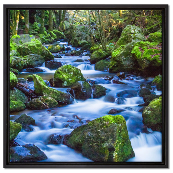 Wilder Bach auf Leinwandbild Quadratisch gerahmt Größe 60x60