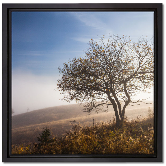 Baum im hohen Gras auf Leinwandbild Quadratisch gerahmt Größe 40x40
