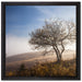 Baum im hohen Gras auf Leinwandbild Quadratisch gerahmt Größe 40x40