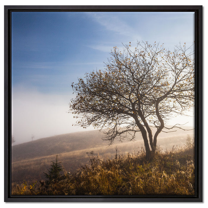 Baum im hohen Gras auf Leinwandbild Quadratisch gerahmt Größe 60x60
