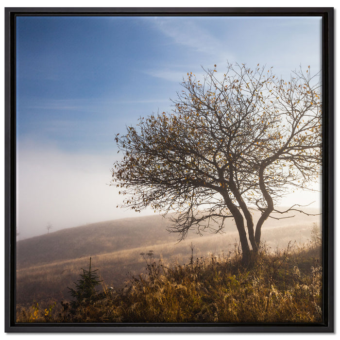 Baum im hohen Gras auf Leinwandbild Quadratisch gerahmt Größe 70x70