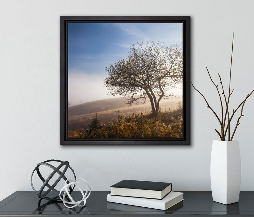 Baum im hohen Gras  auf Leinwandbild Quadratisch gerahmt mit Kirschblüten