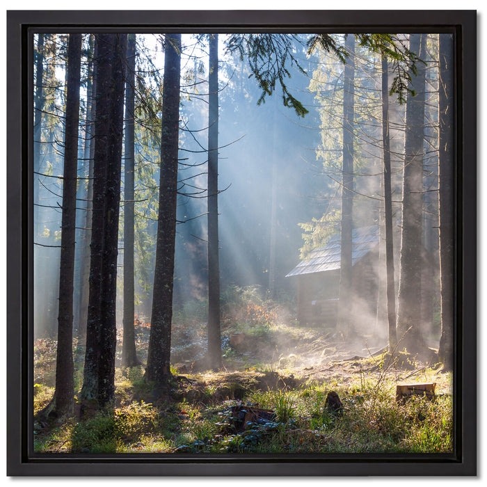 Sonnenstrahlen im Wald auf Leinwandbild Quadratisch gerahmt Größe 40x40