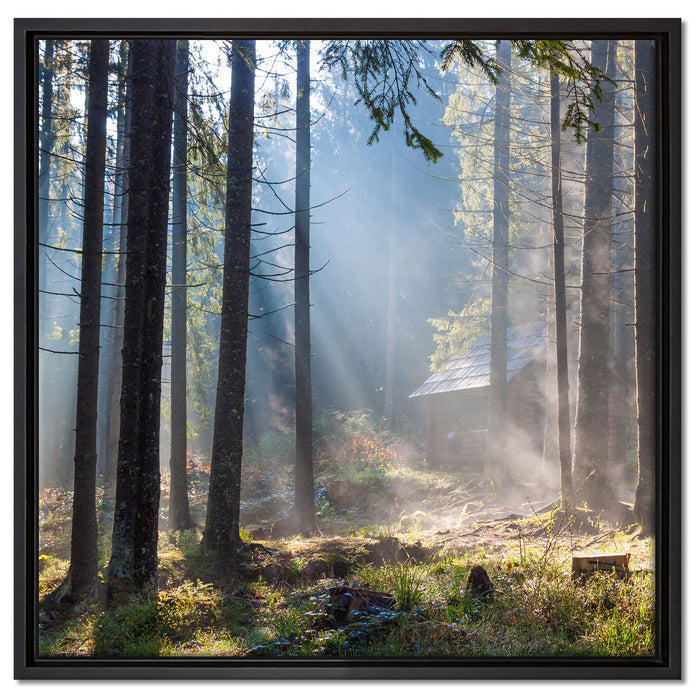 Sonnenstrahlen im Wald auf Leinwandbild Quadratisch gerahmt Größe 60x60