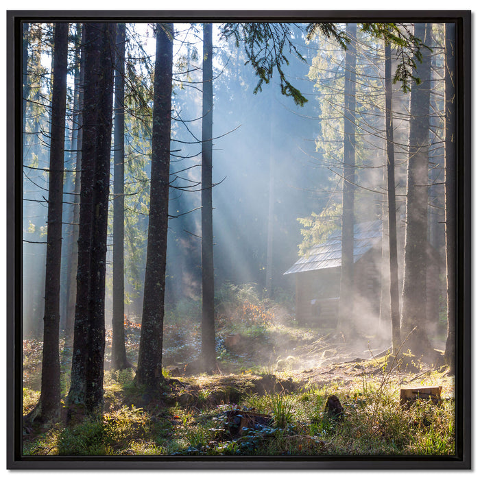 Sonnenstrahlen im Wald auf Leinwandbild Quadratisch gerahmt Größe 70x70