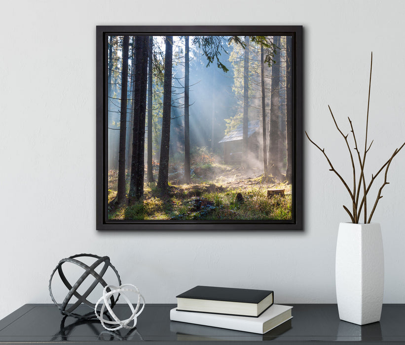 Sonnenstrahlen im Wald  auf Leinwandbild Quadratisch gerahmt mit Kirschblüten