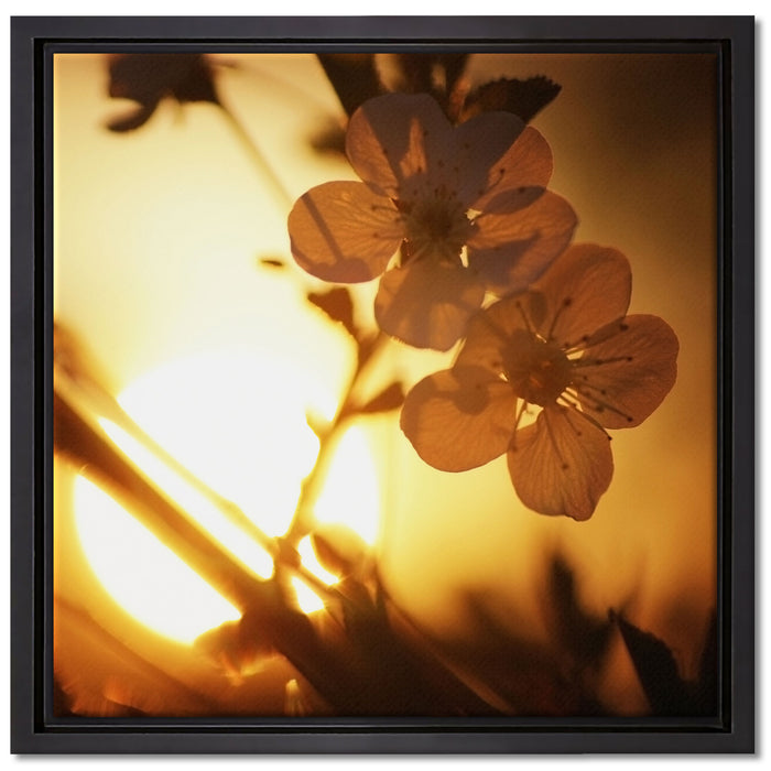 Blüten am Baum auf Leinwandbild Quadratisch gerahmt Größe 40x40