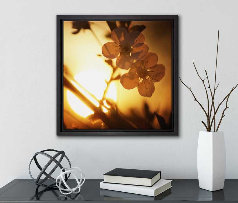 Blüten am Baum  auf Leinwandbild Quadratisch gerahmt mit Kirschblüten