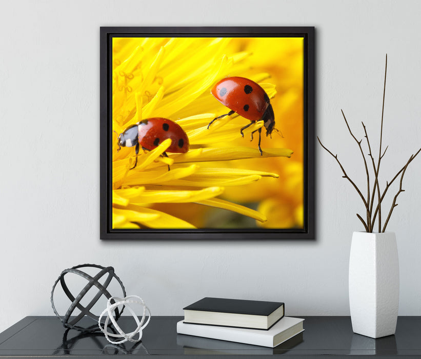 Marienkäfer Nahaufnahme  auf Leinwandbild Quadratisch gerahmt mit Kirschblüten