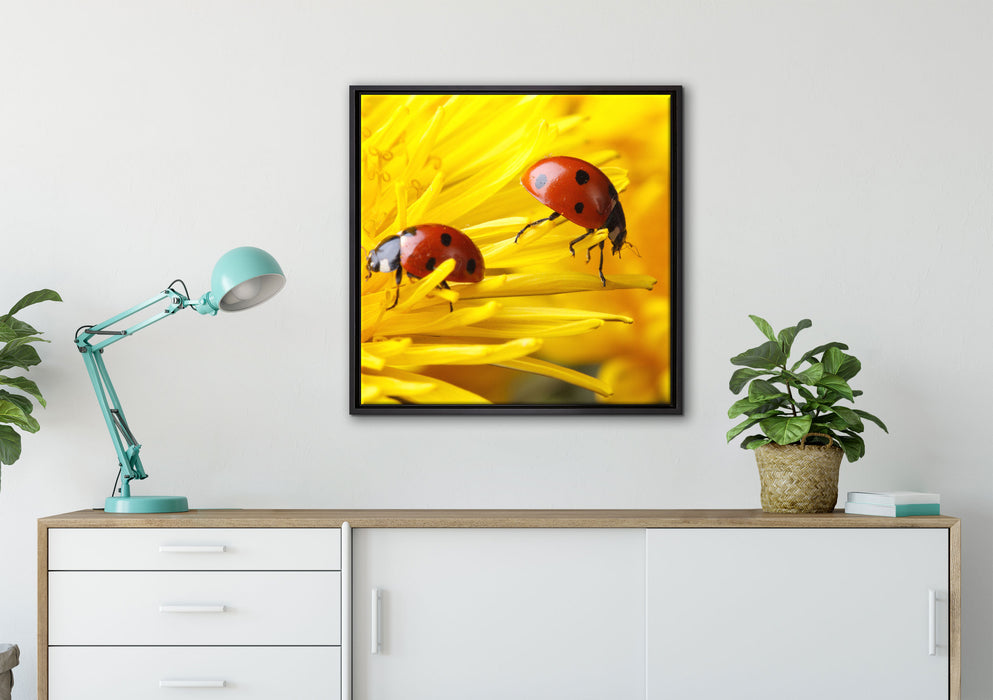Marienkäfer Nahaufnahme auf Leinwandbild gerahmt Quadratisch verschiedene Größen im Wohnzimmer