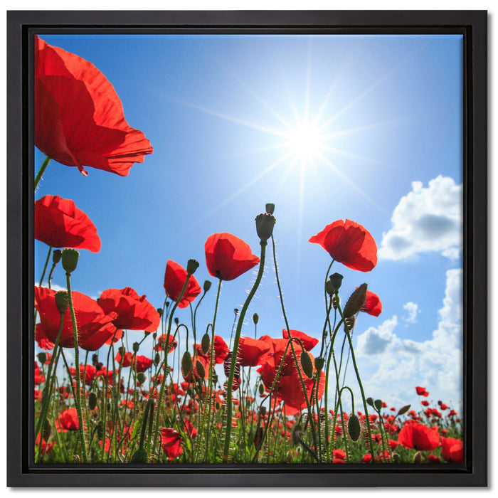 Mohnblumen auf Leinwandbild Quadratisch gerahmt Größe 40x40