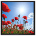 Mohnblumen auf Leinwandbild Quadratisch gerahmt Größe 60x60