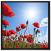 Mohnblumen auf Leinwandbild Quadratisch gerahmt Größe 70x70