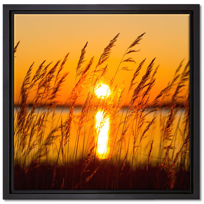 Sonne zwischen Gräsern auf Leinwandbild Quadratisch gerahmt Größe 40x40
