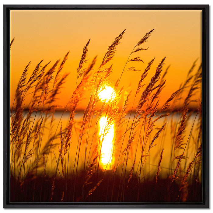 Sonne zwischen Gräsern auf Leinwandbild Quadratisch gerahmt Größe 70x70