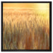 Getreidefeld auf Leinwandbild Quadratisch gerahmt Größe 60x60