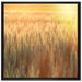 Getreidefeld auf Leinwandbild Quadratisch gerahmt Größe 70x70