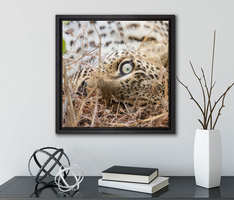 Leopard  auf Leinwandbild Quadratisch gerahmt mit Kirschblüten