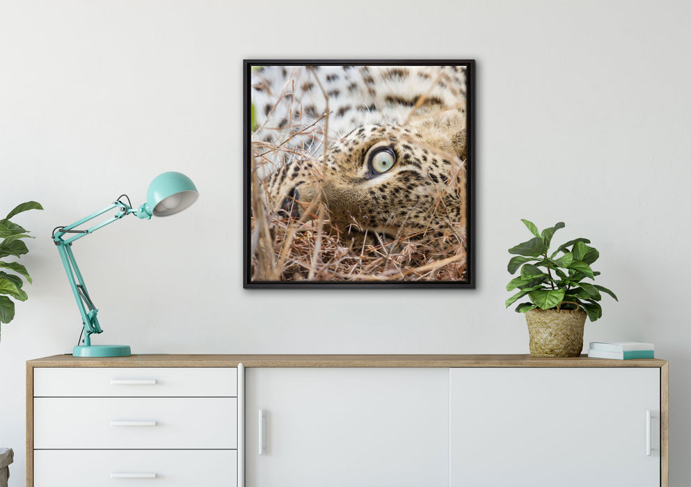 Leopard auf Leinwandbild gerahmt Quadratisch verschiedene Größen im Wohnzimmer