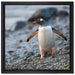 Pinguine auf Leinwandbild Quadratisch gerahmt Größe 40x40