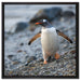 Pinguine auf Leinwandbild Quadratisch gerahmt Größe 60x60