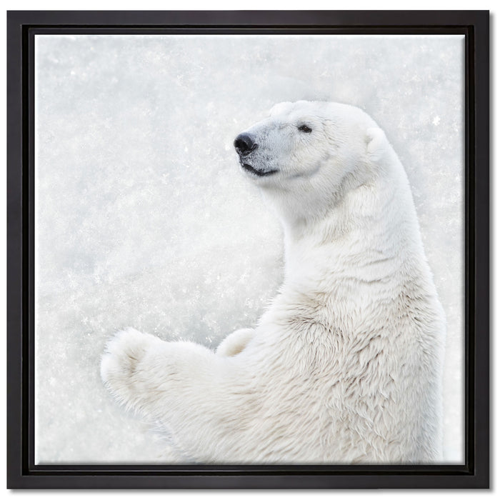 Stehender Eisbär auf Leinwandbild Quadratisch gerahmt Größe 40x40