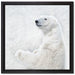 Stehender Eisbär auf Leinwandbild Quadratisch gerahmt Größe 40x40