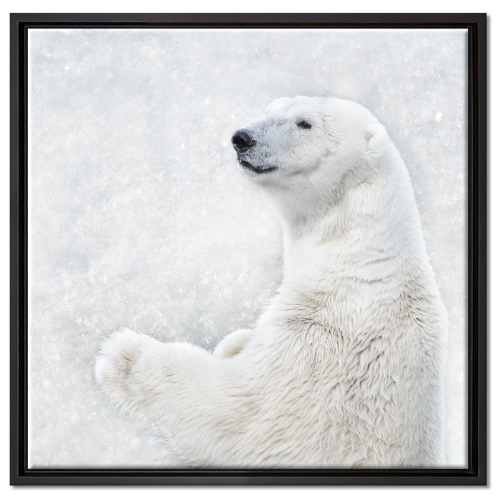 Stehender Eisbär auf Leinwandbild Quadratisch gerahmt Größe 60x60