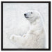 Stehender Eisbär auf Leinwandbild Quadratisch gerahmt Größe 60x60