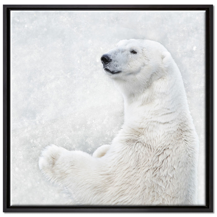 Stehender Eisbär auf Leinwandbild Quadratisch gerahmt Größe 70x70