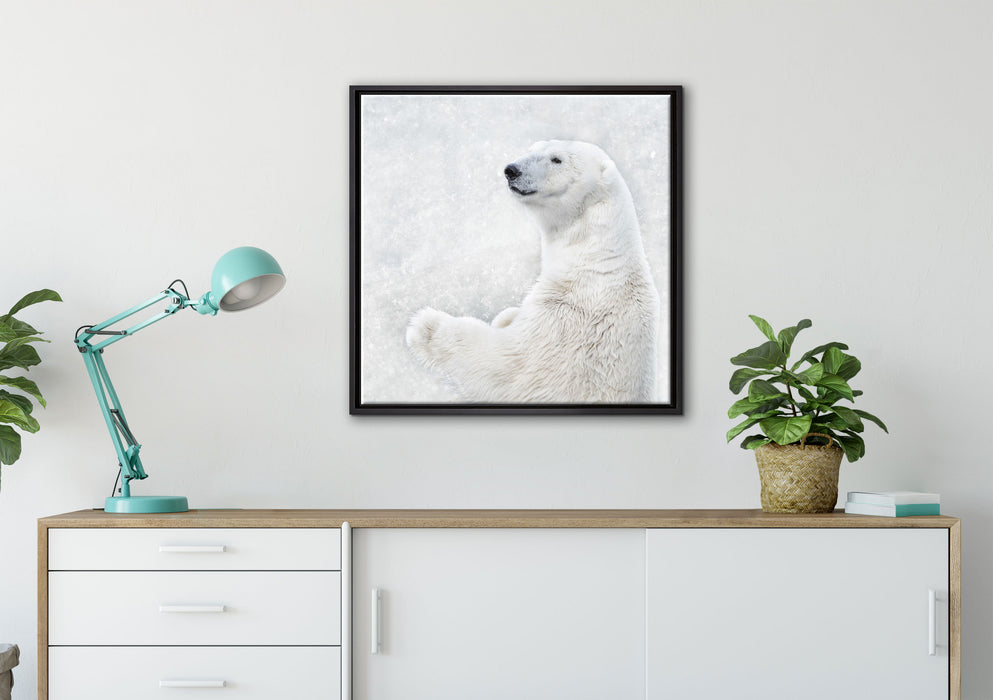 Stehender Eisbär auf Leinwandbild gerahmt Quadratisch verschiedene Größen im Wohnzimmer