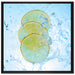 Zitrone fällt ins Wasser auf Leinwandbild Quadratisch gerahmt Größe 70x70