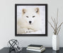Weißer Fuchs  auf Leinwandbild Quadratisch gerahmt mit Kirschblüten