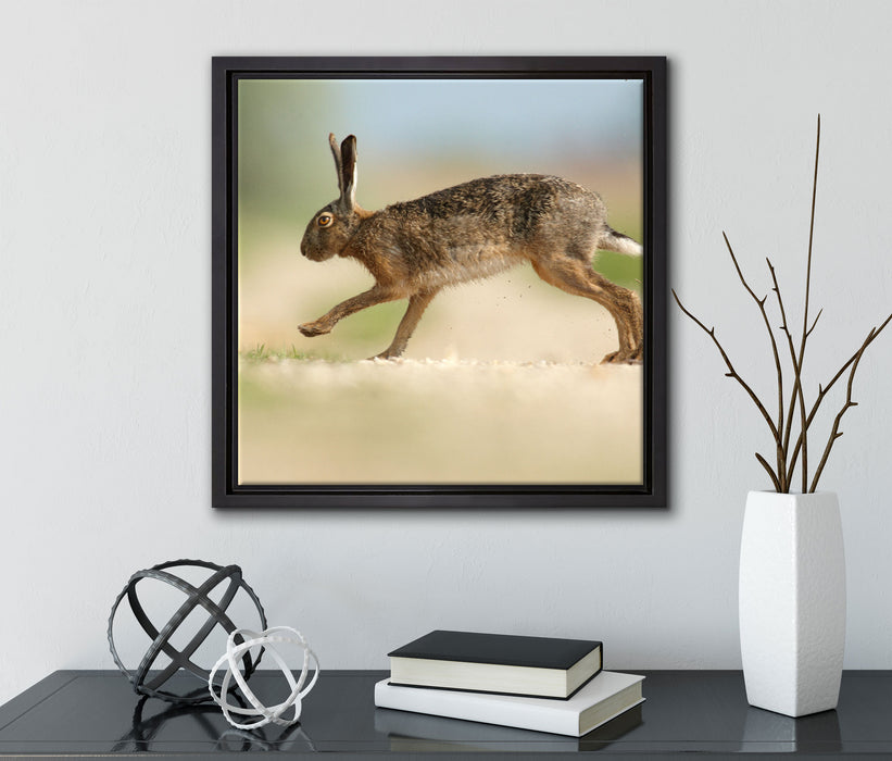 Hüpfender Hase  auf Leinwandbild Quadratisch gerahmt mit Kirschblüten