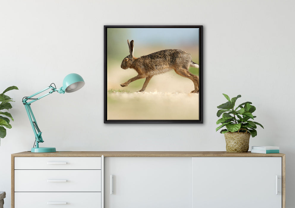 Hüpfender Hase auf Leinwandbild gerahmt Quadratisch verschiedene Größen im Wohnzimmer