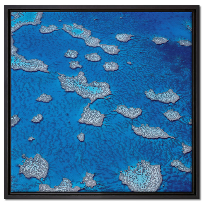 Korallenriffe Australien auf Leinwandbild Quadratisch gerahmt Größe 60x60