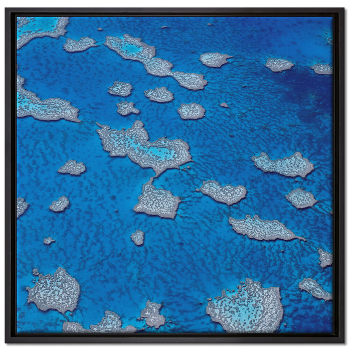 Korallenriffe Australien auf Leinwandbild Quadratisch gerahmt Größe 70x70