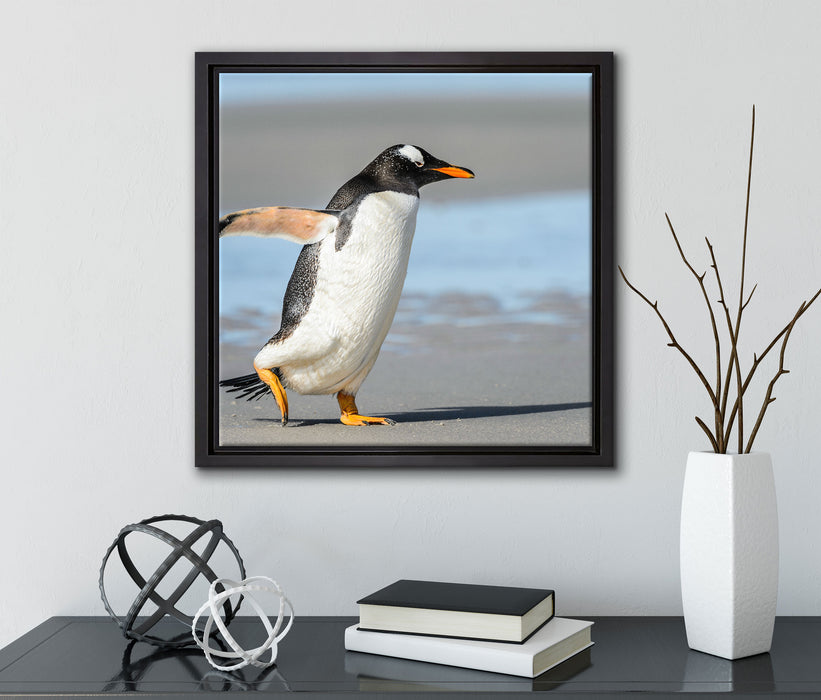 Pinguin am Strand  auf Leinwandbild Quadratisch gerahmt mit Kirschblüten