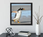 Pinguin am Strand  auf Leinwandbild Quadratisch gerahmt mit Kirschblüten