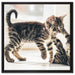 Fighting Cats auf Leinwandbild Quadratisch gerahmt Größe 60x60