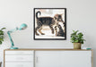 Fighting Cats auf Leinwandbild gerahmt Quadratisch verschiedene Größen im Wohnzimmer