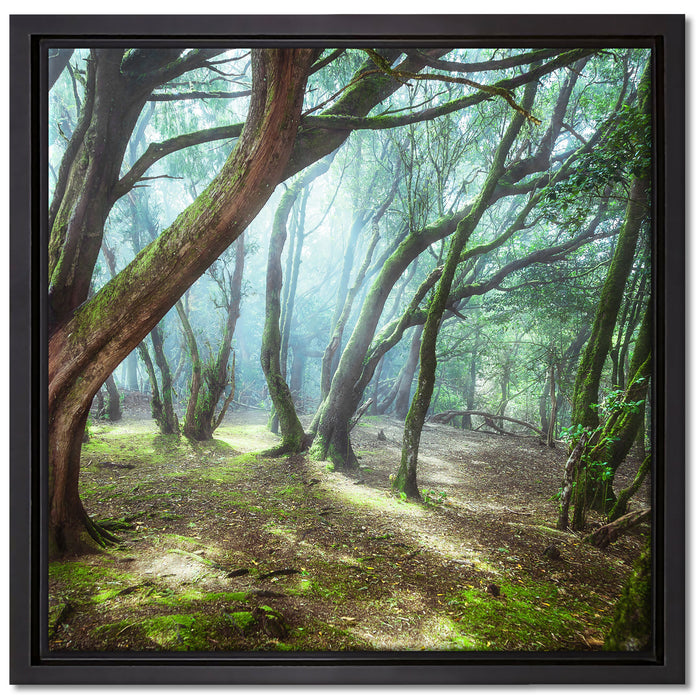 Wald auf Leinwandbild Quadratisch gerahmt Größe 40x40