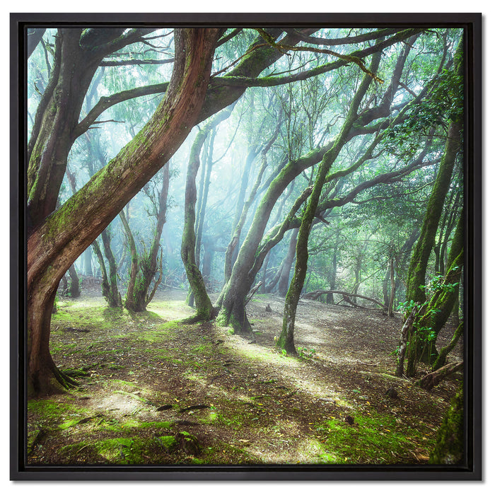 Wald auf Leinwandbild Quadratisch gerahmt Größe 60x60