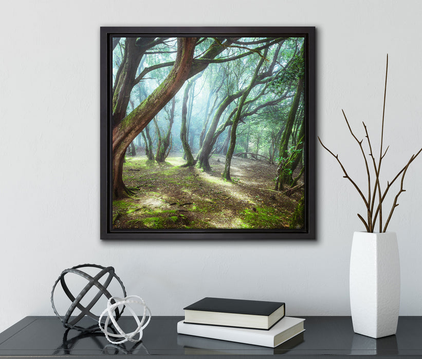 Wald  auf Leinwandbild Quadratisch gerahmt mit Kirschblüten