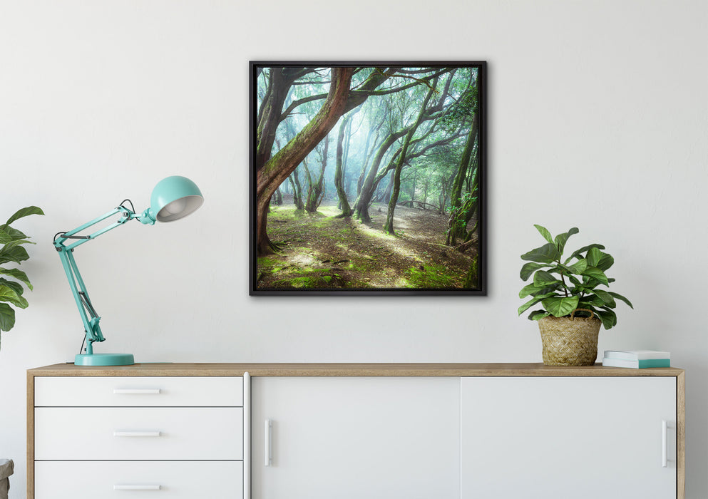 Wald auf Leinwandbild gerahmt Quadratisch verschiedene Größen im Wohnzimmer