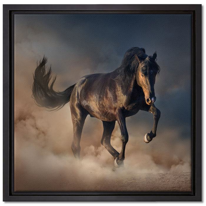 Schwarzes Pferd auf Leinwandbild Quadratisch gerahmt Größe 40x40